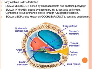  Bony cochlea is divivded into :
1. SCALA VESTIBULI : closed by stapes footplate and contains perilymph
2. SCALA TYMPANI : closed by secondary TM & contains perilymph.
Connected to sub archanoid space through Aqueduct of cochlea.
3. SCALA MEDIA : also known as COCHLEAR DUCT & contains endolymph.
 