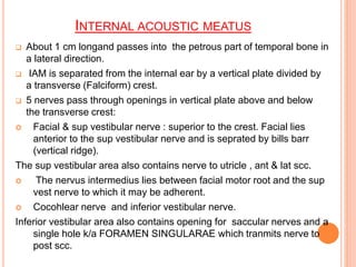 INTERNAL ACOUSTIC MEATUS
 About 1 cm longand passes into the petrous part of temporal bone in
a lateral direction.
 IAM is separated from the internal ear by a vertical plate divided by
a transverse (Falciform) crest.
 5 nerves pass through openings in vertical plate above and below
the transverse crest:
 Facial & sup vestibular nerve : superior to the crest. Facial lies
anterior to the sup vestibular nerve and is seprated by bills barr
(vertical ridge).
The sup vestibular area also contains nerve to utricle , ant & lat scc.
 The nervus intermedius lies between facial motor root and the sup
vest nerve to which it may be adherent.
 Cocohlear nerve and inferior vestibular nerve.
Inferior vestibular area also contains opening for saccular nerves and a
single hole k/a FORAMEN SINGULARAE which tranmits nerve to
post scc.
 