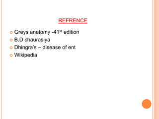REFRENCE
 Greys anatomy -41st edition
 B.D chaurasiya
 Dhingra’s – disease of ent
 Wikipedia
 