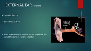 Inner ear anatomy & physiology of hearing | PPTX