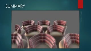 Inner ear anatomy & physiology of hearing | PPTX