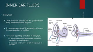Periymph Inner ear anatomy & physiology of hearing | PPTX