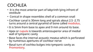 anatomy of the inner ear and it's variations pptx | PPTX