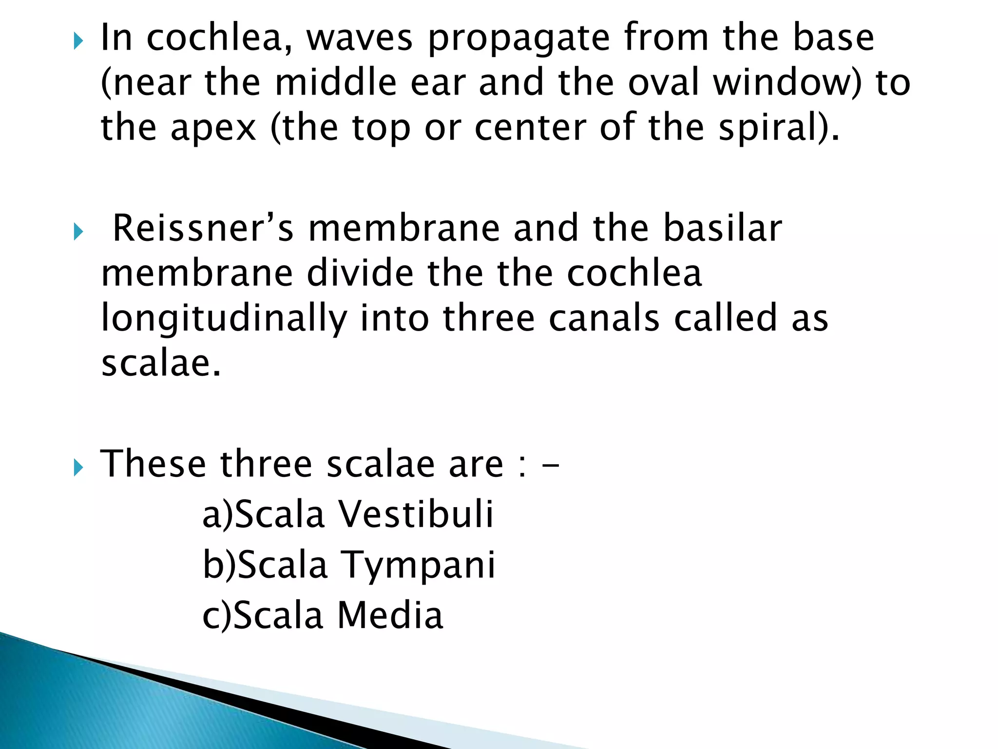 In cochlea, waves propagate from the base
(near the middle ear and the oval window) to
the apex (the top or center of the spiral).
 Reissner’s membrane and the basilar
membrane divide the the cochlea
longitudinally into three canals called as
scalae.
 These three scalae are : -
a)Scala Vestibuli
b)Scala Tympani
c)Scala Media
 