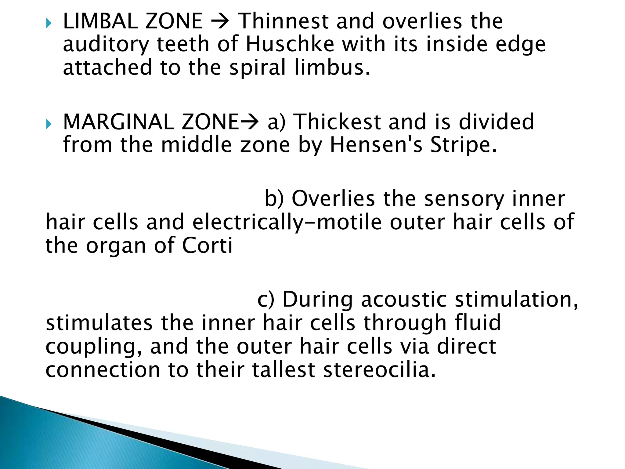  LIMBAL ZONE  Thinnest and overlies the
auditory teeth of Huschke with its inside edge
attached to the spiral limbus.
 MARGINAL ZONE a) Thickest and is divided
from the middle zone by Hensen's Stripe.
b) Overlies the sensory inner
hair cells and electrically-motile outer hair cells of
the organ of Corti
c) During acoustic stimulation,
stimulates the inner hair cells through fluid
coupling, and the outer hair cells via direct
connection to their tallest stereocilia.
 
