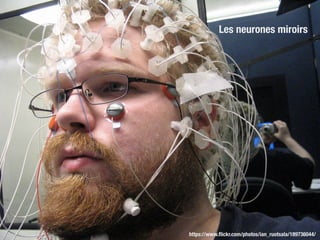 https://www.ﬂickr.com/photos/ian_ruotsala/189736044/
Les neurones miroirs
 