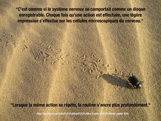 http://pixabay.com/fr/col%C3%A9opt%C3%A8re-l-inde-d%C3%A9sert-sable-354/
“Lorsque la même action se répète, la routine s’ancre plus profondément.“
“C’est comme si le système nerveux se comportait comme un disque
enregistrable. Chaque fois qu’une action est effectuée, une légère
impression s’effectue sur les cellules microscopiques du cerveau.“
 