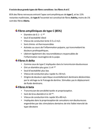 12
Il existe deux grands types de fibres sensitives :les fibres A et C
85% des fibres nerveuses entrant l’apex sontamyéliniques de type C, et les 15%
restantes myélinisées, de type A l’essentiel est constitué de fibres Adelta, moins de 1%
sontdes fibres Abeta.
Fibres amyéliniques de type C (85%)
• Diamètre de 0.1 – 1 ᶣᵐ
• Seuil d’excitabilité élevé
• Vitesse de conduction lente 0.5 a 2 m/s
• Sont chimio- et thermosensibles
• Activées au cours de l’inflammation pulpaire, qui transmettent les
douleurs prothopathiques.
• Libèrent également des neuromédiateurs responsables de
l’inflammation neutrogène de la pulpe.
Fibres A delta
• Comme ceux de type C impliquées dans la transmission douloureuse
• Ont un diamètre plus gros 1 à 4 ᶣᵐ
• Seuil d’excitabilité plus bas
• Vitesse de conduction plus rapide 4 a 30 m/s
• Origine de douleurs epicritique essentiellement dentinaire déclenchées
par le séchage ou le fraisagede dentine. Stimulées pas le déplacement
de fluide dentinaire.
Fibres A beta
• Transmission desensibilité tactile et proprioceptive .
• Sont de Gros diamètre 6 à 10 ᶣᵐ.
• Vitesse de conduction très rapide 30 a 80 m/s
• Impliquées dans la proprioception de sensations non douloureuses
engendrées par des stimulations dentaires de très faible intensité de
type vibratoire
 