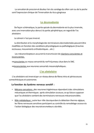 15
La sensation de pression et douleur lors du sondagedu sillon sain ou de la poche
sontl’expression clinique de l’innervation du tissu gingivaux
Le desmodonte
De façon schématique, la partie apicale du desmodonte est la plus innervée,
avec une innervation plus dense à la partie périphérique, en regard de l’os
alvéolaire
Le cément n’est pas innervé.
La distribution et la morphologiedes terminaisons desmodontales peuvent être
modifiées en fonction des conditions physiologiques ou pathologiques (traumas
occlusaux, mouvements orthodontiques …etc.)
Les mécanorécepteurs assurentla transmission de réactions conscientes et
inconscientes.
=>conscientes au noyau sensorieldu nerf trijumeau situe dans le SNC.
=>inconscientes aux neurones sensoriels mesencéphaliques.
L’os alvéolaire
L’os alvéolaire est innervépar un réseau dense de fibres intra et périosseuses
somesthésiques et autonomes
La fonction du Système nerveux sensitif :
• Mécano-sensations : des neurones trigéminaux répondantà des stimulations
mécaniques et thermiques après stimulation osseuse, ce qui laisse supposer
que l’os alvéolaire contient des terminaisons nerveuses mécanosensibles.
• Rôle métabolique : outre leur rôle classiquedans la détection thermo-algique,
les fibres nerveuses sensitives participent au contrôle du remodelage osseuxvia
l’action biologique des neurotransmetteurs sécrétés.
 