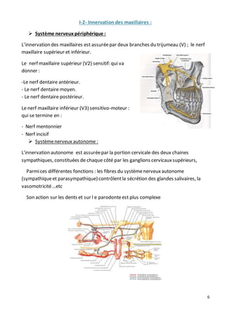 6
I-2- Innervation des maxillaires :
 Système nerveux périphérique :
L’innervation des maxillaires est assuréepar deux branches du trijumeau (V) ; le nerf
maxillaire supérieur et inférieur.
Le nerf maxillaire supérieur (V2) sensitif: qui va
donner :
-Le nerf dentaire antérieur.
- Le nerf dentaire moyen.
- Le nerf dentaire postérieur.
Le nerf maxillaire inférieur (V3) sensitivo-moteur :
qui se termine en :
- Nerf mentonnier
- Nerf incisif
 Systèmenerveux autonome :
L'innervation autonome est assuréepar la portion cervicale des deux chaines
sympathiques, constituées de chaque côté par les ganglions cervicauxsupérieurs,
Parmices différentes fonctions : les fibres du systèmenerveuxautonome
(sympathiqueet parasympathique) contrôlentla sécrétion des glandes salivaires, la
vasomotricité…etc
Son action sur les dents et sur l e parodonteest plus complexe
 