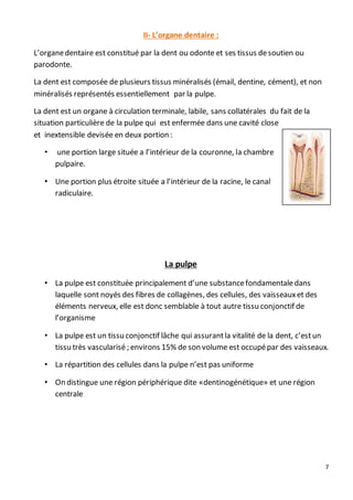 7
II- L’organe dentaire :
L’organedentaire est constitué par la dent ou odonte et ses tissus desoutien ou
parodonte.
La dent est composée de plusieurs tissus minéralisés (émail, dentine, cément), et non
minéralisés représentés essentiellement par la pulpe.
La dent est un organe à circulation terminale, labile, sans collatérales du fait de la
situation particulière de la pulpe qui est enfermée dans une cavité close
et inextensible devisée en deux portion :
• une portion large située a l’intérieur de la couronne, la chambre
pulpaire.
• Une portion plus étroite située a l’intérieur de la racine, le canal
radiculaire.
La pulpe
• La pulpe est constituée principalement d’une substancefondamentaledans
laquelle sont noyés des fibres de collagènes, des cellules, des vaisseauxet des
éléments nerveux, elle est donc semblable à tout autre tissu conjonctif de
l’organisme
• La pulpe est un tissu conjonctif lâche qui assurantla vitalité de la dent, c’estun
tissu très vascularisé ; environs 15% de son volume est occupépar des vaisseaux.
• La répartition des cellules dans la pulpe n’est pas uniforme
• On distingue une région périphérique dite «dentinogénétique» et une région
centrale
 