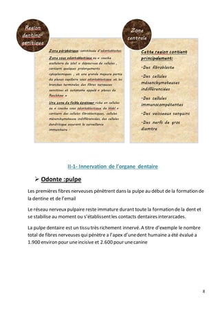 8
II-1- Innervation de l’organe dentaire
 Odonte :pulpe
Les premières fibres nerveuses pénètrent dans la pulpe au début de la formation de
la dentine et de l’email
Le réseau nerveuxpulpaire reste immature durant toute la formation de la dent et
se stabilise au moment ou s’établissentles contacts dentaires interarcades.
La pulpe dentaire est un tissu très richement innervé. A titre d’exemple le nombre
total de fibres nerveuses qui pénètre a l’apex d’unedent humaine a été évalué a
1.900 environ pour uneincisive et 2.600 pour unecanine
Zone périphérique: constituée d’odontoblastes
Zone sous odontoblastique ou « couche
acellulaire de Weil » dépourvue de cellules ,
contient quelques prolongements
cytoplasmiques , et une grande majeure partie
du plexus capillaire sous odontoblastique et les
branches terminales des fibres nerveuses
sensitives et autonome appelé « plexus de
Raschkow »
Une zone de faible épaisseur riche en cellules
ou « couche sous odontoblastique de Hohl »
contient des cellules fibroblastiques, cellules
mésenchymateuse indifférenciées, des cellules
dendritique assurant la surveillance
immunitaire .
Region
dentino-
genitique
Cette region contient
principalement:
-Des fibroblaste
-Des cellules
mésenchymateuses
indifférenciées
-Des cellules
immunocompétentes
-Des vaisseaux sanguins
-Des nerfs de gros
diamtre
Zone
centrale
 