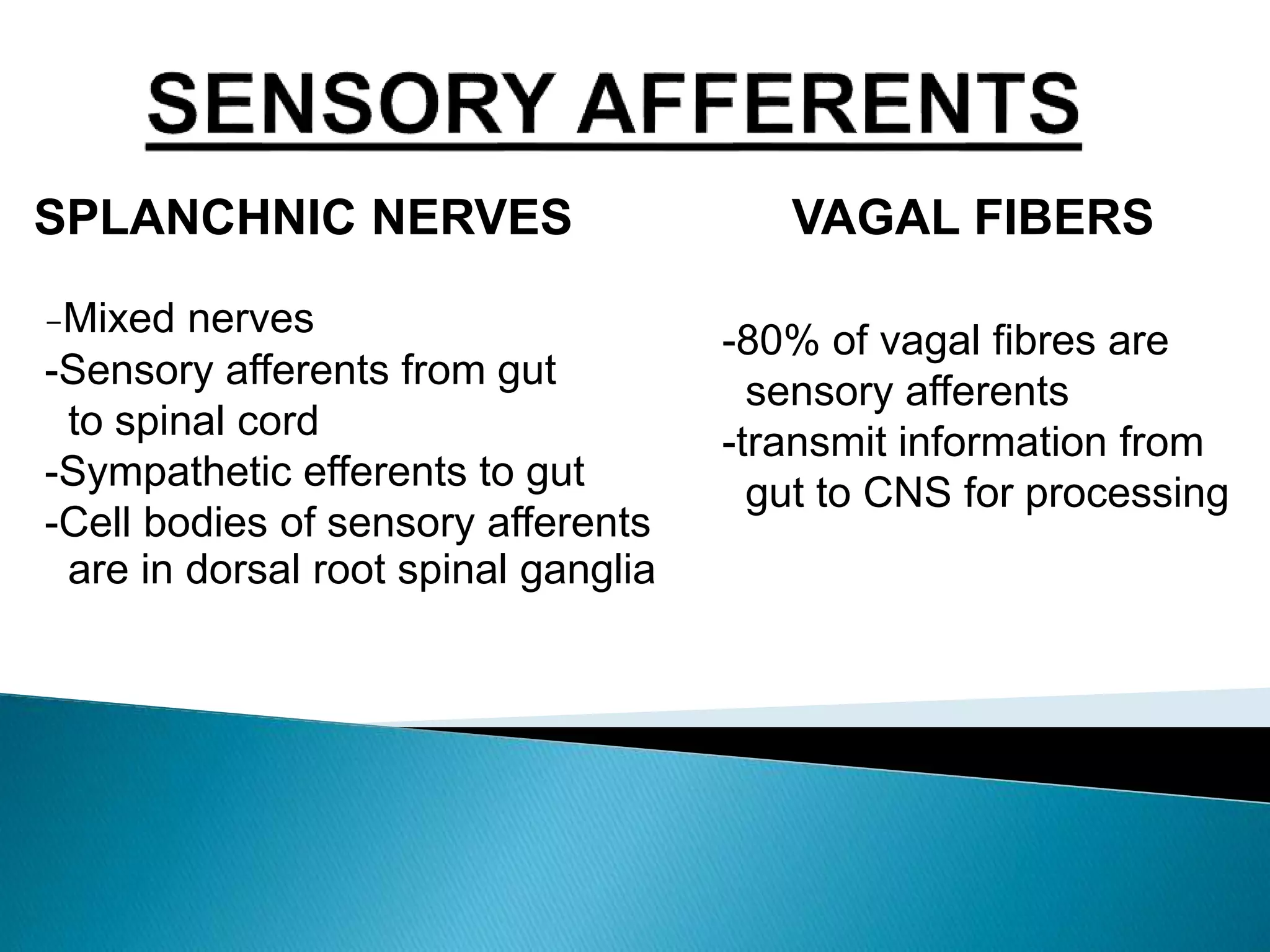 Innervation of gastro intestinal tract | PPTX