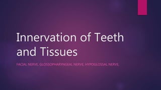 Innervation of Teeth
and Tissues
FACIAL NERVE, GLOSSOPHARYNGEAL NERVE, HYPOGLOSSAL NERVE,
 