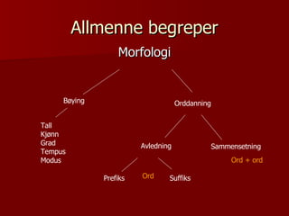Allmenne begreper Morfologi Bøying Orddanning Tall Kjønn Grad Tempus Modus Avledning Sammensetning Prefiks Ord Suffiks Ord + ord 