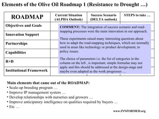 Elements of the Olive Oil Roadmap 1 (Resistance to Drought  …) Main elements that came out of the ROADMAP: Scale-up breeding program … Improve IP management system … Develop relationships with nurseries and growers … Improve anticipatory intelligence on qualities required by buyers … Etc … COMMENT:  The integration of success scenario and road-mapping processes were the main innovation in our approach.  These experiments raised many interesting questions about how to adapt the road-mapping techniques, which are normally used in areas like technology or product development, to policy issues.  The choice of parameters i.e. the list of categories in the column on the left , is important, simple formulae may not apply and this should be addressed at the design-stage and maybe even adapted as the work progresses …  Institutional Framework R+D Capabilities Partnerships Innovation Support Objectives and Goals STEPS to take … Success Scenario (DELTA outlook) Current Situation (ALPHA Outlook) ROADMAP 