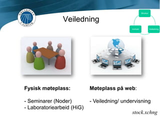 Webkamerastock.xchng