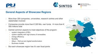 Regulatory Innovation Zones for Smart Energy Networks