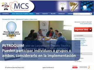 PETROQUIM
Pueden participar individuos o grupos o
ambos, considerarlo en la implementación

 © Guillermo Beuchat Shaw 2011   www.transforme.cl
 