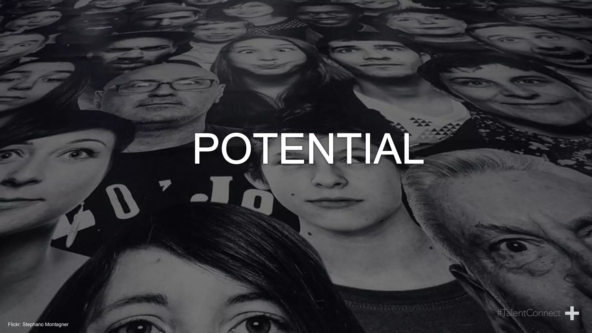 Flickr: Stephano Montagner
 