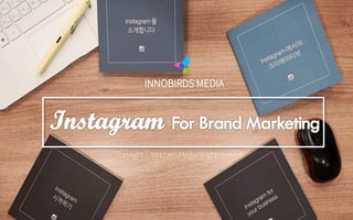 Instagram Management_innobirds media