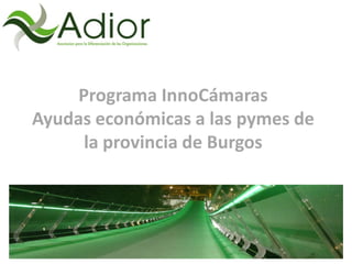 Programa InnoCámaras
Ayudas económicas a las pymes de
la provincia de Burgos
 