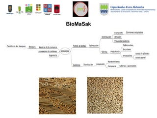 BioMaSak
 