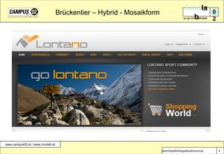 Brückentier – Hybrid - Mosaikform3