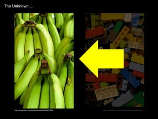 The Unknown … http://www.flickr.com/photos/toddler/3450871850 http://www.flickr.com/photos/bdesham/2432400623 