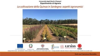 Università degli Studi di Sassari
Dipartimento di Agraria
La coltivazione della Quinoa in Sardegna: aspetti agronomici
Dott.ssa Francesca Mureddu
 