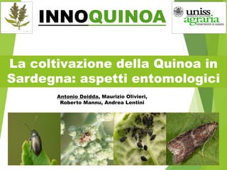 INNOQUINOA
La coltivazione della Quinoa in
Sardegna: aspetti entomologici
Antonio Deidda, Maurizio Olivieri,
Roberto Mannu, Andrea Lentini
 