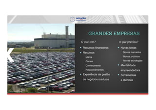 Recursos financeiros
Recursos
Marca
Canais
Conhecimento
Relacionamentos
Experiência de gestão
de negócios maduros
O que tem?
Novas ideias
Novos mercados
Novos produtos
Novas tecnologias
Mentalidade
empreendedora
Ferramentas
e técnicas
O que precisa?
Fonte: Innoscience
 
