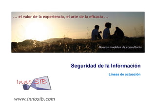 Seguridad de la Información
                                Líneas de actuación




www.innosib.com
 