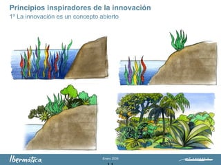 Enero 2009
Principios inspiradores de la innovación
1º La innovación es un concepto abierto
 