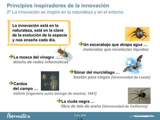 Enero 2009
Principios inspiradores de la innovación
2º La innovación se inspira en la naturaleza y en el entorno
Un escarabajo que atrapa agua …
materiales que recolectan líquidos
La mosca del vinagre ……
diseño de redes informáticas
La viuda negra …
fibra de tela de araña (Universidad de California)
Sónar del murciélago …
bastón para ciegos (Universidad de Leeds)
Cardos
del campo …
velcro (ingeniero suizo George de mestral, 1941)
La innovación está en la
naturaleza, está en la clave
de la evolución de la especie
y nos enseña cada día.
 
