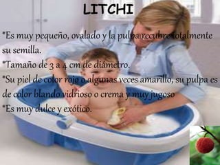 LITCHI
*Es muy pequeño, ovalado y la pulpa recubre totalmente
su semilla.
*Tamaño de 3 a 4 cm de diámetro.
*Su piel de color rojo o algunas veces amarillo, su pulpa es
de color blando vidrioso o crema y muy jugoso
*Es muy dulce y exótico.
 