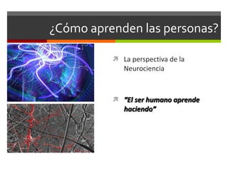 ¿Cómo aprenden las personas? La perspectiva de la Neurociencia “ El ser humano aprende haciendo” 