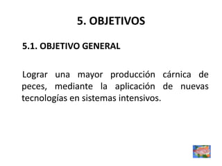 5. OBJETIVOS
5.1. OBJETIVO GENERAL

Lograr una mayor producción cárnica de
peces, mediante la aplicación de nuevas
tecnologías en sistemas intensivos.
 