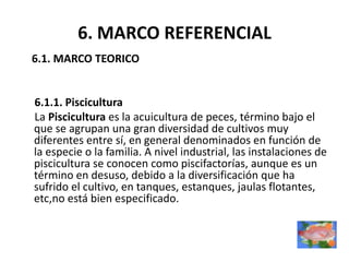 6. MARCO REFERENCIAL
6.1. MARCO TEORICO


6.1.1. Piscicultura
La Piscicultura es la acuicultura de peces, término bajo el
que se agrupan una gran diversidad de cultivos muy
diferentes entre sí, en general denominados en función de
la especie o la familia. A nivel industrial, las instalaciones de
piscicultura se conocen como piscifactorías, aunque es un
término en desuso, debido a la diversificación que ha
sufrido el cultivo, en tanques, estanques, jaulas flotantes,
etc,no está bien especificado.
 