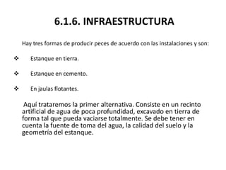 6.1.6. INFRAESTRUCTURA
    Hay tres formas de producir peces de acuerdo con las instalaciones y son:

      Estanque en tierra.

      Estanque en cemento.

      En jaulas flotantes.

     Aquí trataremos la primer alternativa. Consiste en un recinto
    artificial de agua de poca profundidad, excavado en tierra de
    forma tal que pueda vaciarse totalmente. Se debe tener en
    cuenta la fuente de toma del agua, la calidad del suelo y la
    geometría del estanque.
 