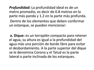 Profundidad: La profundidad ideal es de un
metro promedio, es decir de 0.8 metros en la
parte más panda y 1.2 en la parte más profunda.
Dentro de los elementos que deben conformar
un estanque, se pueden mencionar:

 a. Dique: es un terraplén compacto para retener
el agua, su altura es igual a la profundidad del
agua más una porción de borde libre para evitar
el desbordamiento. A la parte superior del dique
se le denomina Corona y el Talud es la parte
lateral o parte inclinada de los estanques.
 