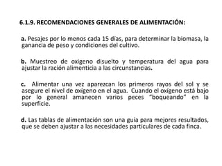 6.1.9. RECOMENDACIONES GENERALES DE ALIMENTACIÓN:

a. Pesajes por lo menos cada 15 días, para determinar la biomasa, la
ganancia de peso y condiciones del cultivo.

b. Muestreo de oxigeno disuelto y temperatura del agua para
ajustar la ración alimenticia a las circunstancias.

c. Alimentar una vez aparezcan los primeros rayos del sol y se
asegure el nivel de oxígeno en el agua. Cuando el oxígeno está bajo
por lo general amanecen varios peces “boqueando” en la
superficie.

d. Las tablas de alimentación son una guía para mejores resultados,
que se deben ajustar a las necesidades particulares de cada finca.
 