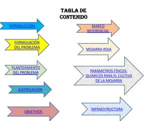 Tabla de
                    contenido
INTRODUCCIÓN                  MARCO
                            REFERENCIAL

  FORMULACIÓN
  DEL PROBLEMA              MOJARRA ROJA



 PLANTEAMIENTO
  DEL PROBLEMA                PARÁMETROS FÍSICOS-
                            QUIMICOS PARA EL CULTIVO
                                 DE LA MOJARRA

    JUSTIFICACIÓN



                                INFRAESTRUCTURA
       OBJETIVOS
 