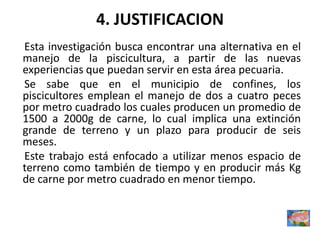 4. JUSTIFICACION
Esta investigación busca encontrar una alternativa en el
manejo de la piscicultura, a partir de las nuevas
experiencias que puedan servir en esta área pecuaria.
Se sabe que en el municipio de confines, los
piscicultores emplean el manejo de dos a cuatro peces
por metro cuadrado los cuales producen un promedio de
1500 a 2000g de carne, lo cual implica una extinción
grande de terreno y un plazo para producir de seis
meses.
Este trabajo está enfocado a utilizar menos espacio de
terreno como también de tiempo y en producir más Kg
de carne por metro cuadrado en menor tiempo.
 