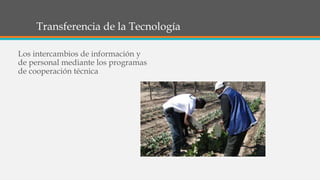 Transferencia de la Tecnología
Los intercambios de información y
de personal mediante los programas
de cooperación técnica
 