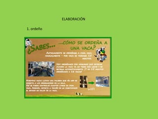 ELABORACIÓN

1. ordeño
 
