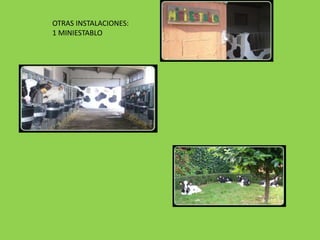 OTRAS INSTALACIONES:
1 MINIESTABLO
 