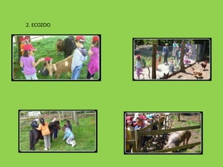 2. ECOZOO
 