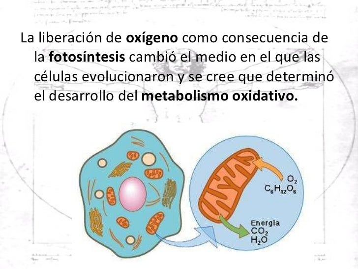 Innovacion biologica