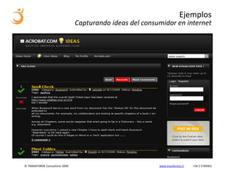 Ejemplos
                                Capturando ideas del consumidor en internet




© TRANSFORME Consultores 2009                             www.transforme.cl   +56 2 5709401
 